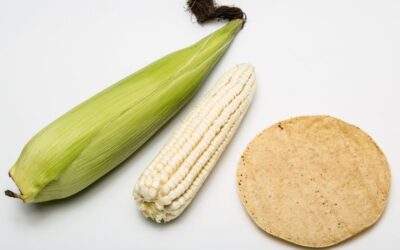 Tortillas de maíz para hostelería